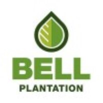 بل پلنتیشن - Bell Plantation